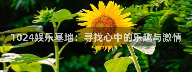 新航娱乐招商
