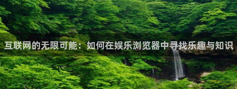 辉达平台注册：互联网的无限可能：如何在娱乐浏览器中寻找乐趣与知识